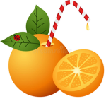Official OrangeYT Group