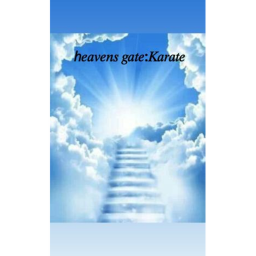 HEAVENS DOJO