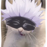 anime merch group.