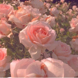 your