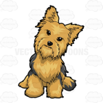 Epic Yorkie Terriers