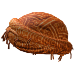 Halo Wrapped Turban [LIMITED]