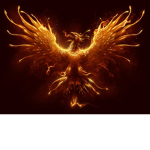 Flaming Phoenixesss