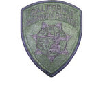 (CHP) California Highway Patrol SWAT (CHP)