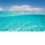 The Blue Wavy Ocean