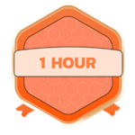 1 Hour