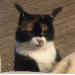 K&K’s