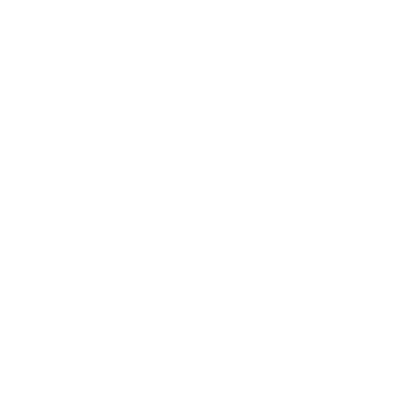timer icon