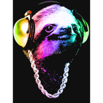 Rainbow Slothz Club