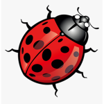 Big Bug Army