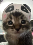 !Friendship group only!