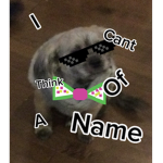 I_can’t think_of a name