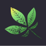 The Army Of Leafs