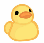 snow's duckies!