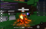 Xavier's Combat Studio