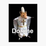 Marine Rats
