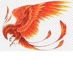 the phoenix fanclub