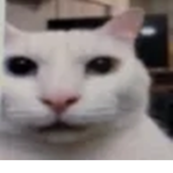Survive the Uncanny Cat the Killer
