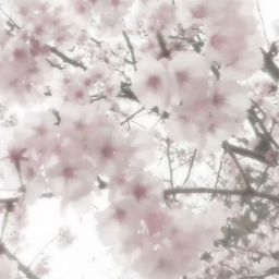 ♡