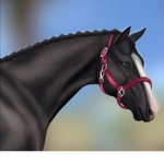 Canter Crest Equestrian Centre