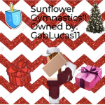 Sunflower Gymnastics!!
