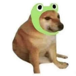 Perros :D