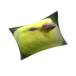 Tennis bird Pillow