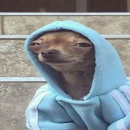 Dog with hoodie Roblox decal