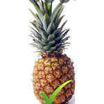 The pineapple squad.