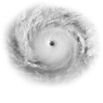 HomieGangsterCrew (HurricanesDH Fan group (I don't