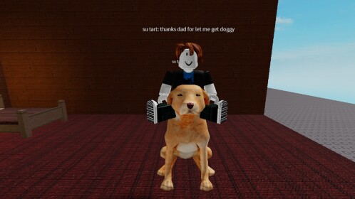 epic dog story