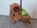 Slayyyy capybara