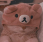 TeamCat (YT)