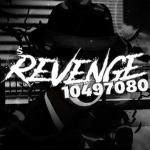 Revenge ヅ