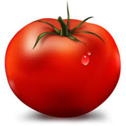 Mega Obby