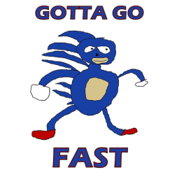 The race