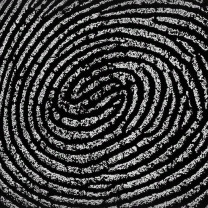 black and white fingerprint