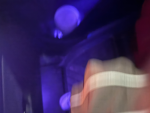 D0GL0V3R
