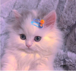 ♡ ¡Dream’s Cute Obby! ♡