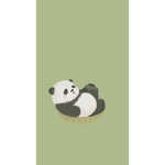 •Panda Fan group •
