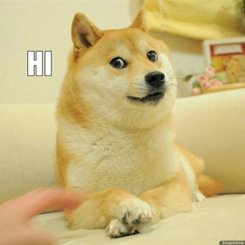 Stupid Nextbot Runner [W.I.P]