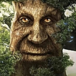 The Wise Mythical Trees