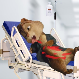 Who killed Alvin investigation!