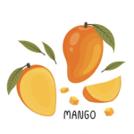 TAYLA_THE_MANGO!!