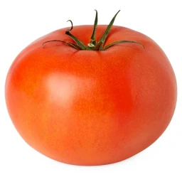tomato sauce icon