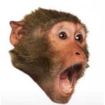 da monke squad