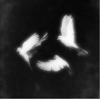✧ 