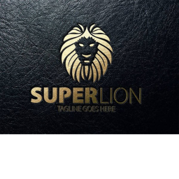 Super Lions F.C Stadium