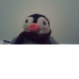 HOME [Cool Penguins]