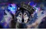 ..The great wolf pack..